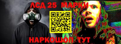 прущие грибы Кимры